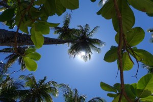 DSC09350